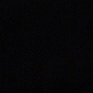 Meet your Posher, Camryn